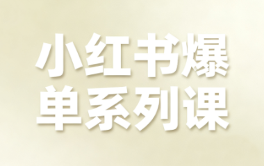 尼采老师·小红书爆单系列课-优优云网创