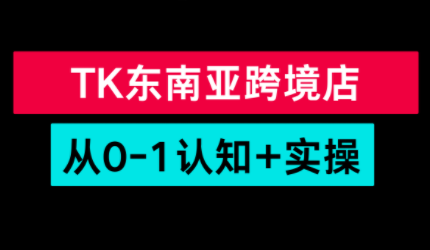 TikTok东南亚跨境从0-1认知实操课-优优云网创