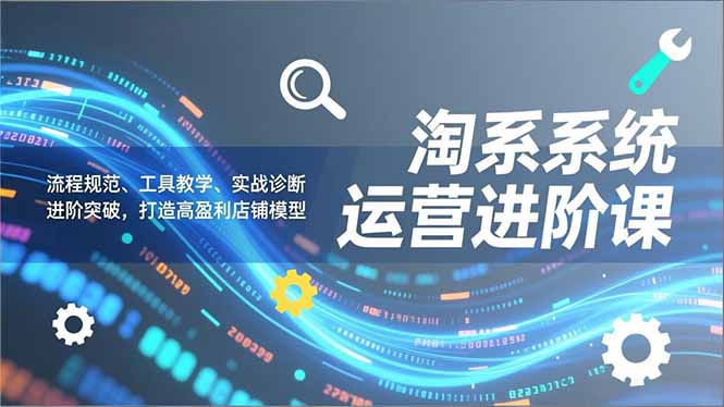 淘系系统运营进阶课2.0,流程规范、工具教学、实战诊断,进阶突破,打造高盈利店铺模型-优优云网创