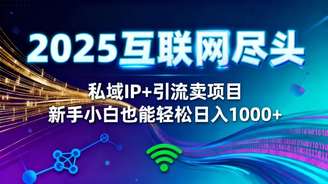2025网创尽头王炸项目！私域 IP + 精准引流，新手小白在家躺赚日入 1000+-优优云网创