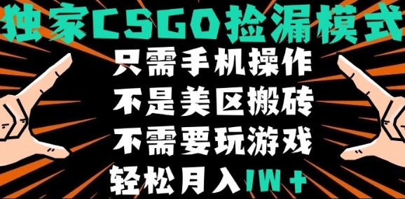 CSGO自动捡漏项目,最新独家玩法,不是美区搬砖,不需要了解和玩游戏,新手小白轻松月入1W+【揭秘】-优优云网创