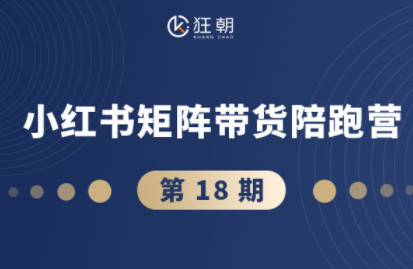 盗坤·抖音小红书视频号短视频带货与直播变现(11-18期)-优优云网创