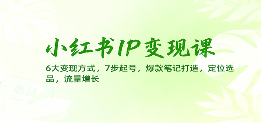 小红书IP变现课：6大变现方式，7步起号，爆款笔记打造，定位选品，流量增长-优优云网创