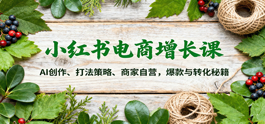 小红书电商增长课：AI创作、打法策略、商家自营，爆款与转化秘籍-优优云网创