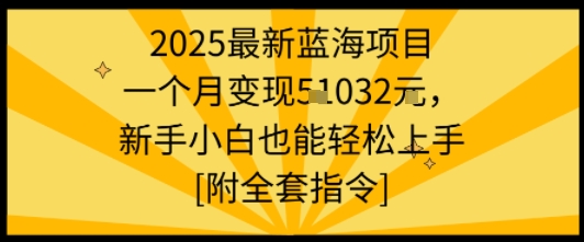 2025最新蓝海项目一个月变现1w+新手小白也能轻松上手【附全套指令】-优优云网创