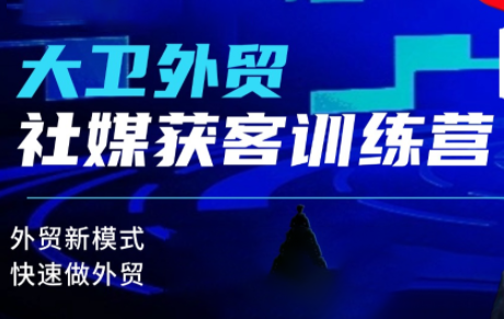 大卫老师·外贸社媒获客独家训练营(更新10月)-优优云网创
