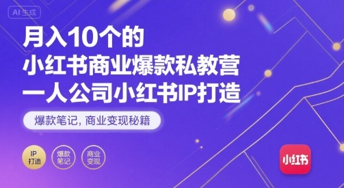 月入10个的小红书商业爆款私教营，一人公司小红书IP打造，爆款笔记，商业变现秘籍-优优云网创