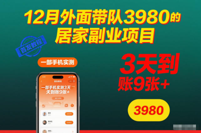 12月外面带队3980的居家副业项目，一部手机实测3天到账9张+，首发教程【揭秘】-优优云网创