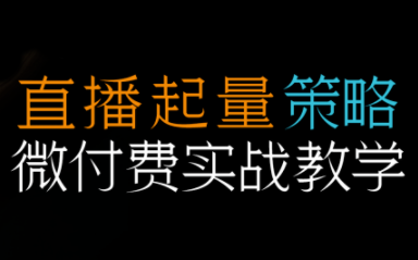 半野老师·直播带货起量与微付费必学课视频号-优优云网创