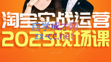 推易·淘宝全套运营现场课程(更新12月)-优优云网创