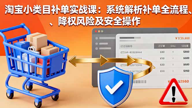 淘宝小类目补单实战课：系统解析补单全流程、降权风险及安全操作-优优云网创