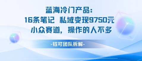 蓝海项目：16条笔记私域变现9750米小众赛道操作的人不多-优优云网创