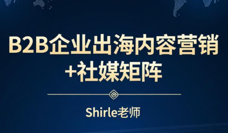 shirle老师·B2B企业出海内容营销+社媒矩阵-优优云网创