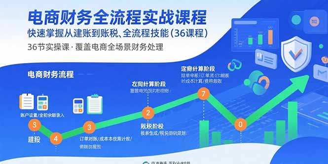 电商财务全流程实战课程:快速掌握从建账到报税的全流程技能(36节课-优优云网创