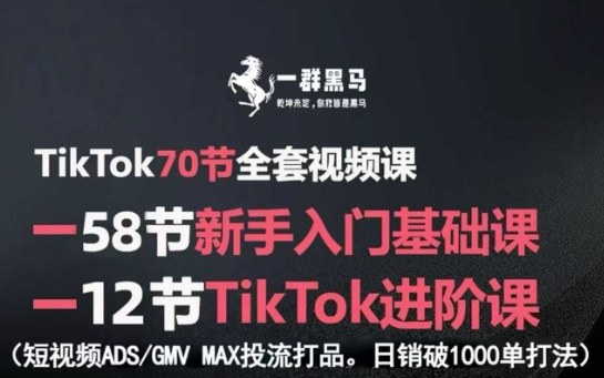 TikTok全套视频课，新手入门+进阶课，短视频ADS-GMV MAX投流打品，日销破1000单打法-优优云网创