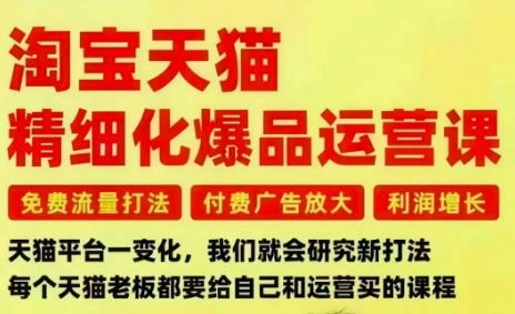 淘宝天猫精细化爆品运营课，免费流量打法-付费广告放大-利润增长-三大核心痛点，一次全部解决-优优云网创